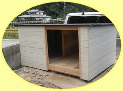 ボクのおうちを紹介しますワン!大工さんがボクのために一生懸命作ってくれました!